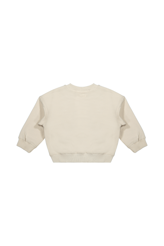 jongens-kleding-trui-elias-beige-achterkant