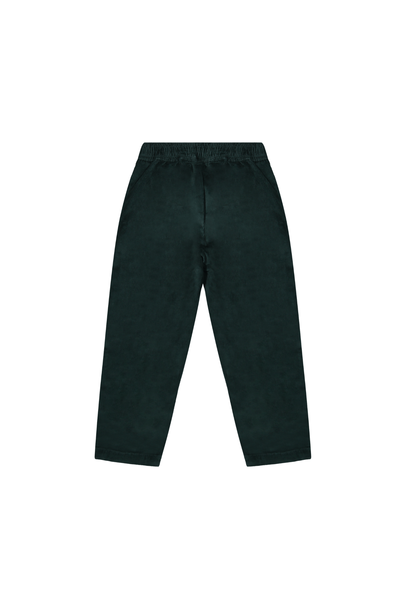 William | Lange broek babyrib | Conifer - Mr. Loutre - Lange broeken