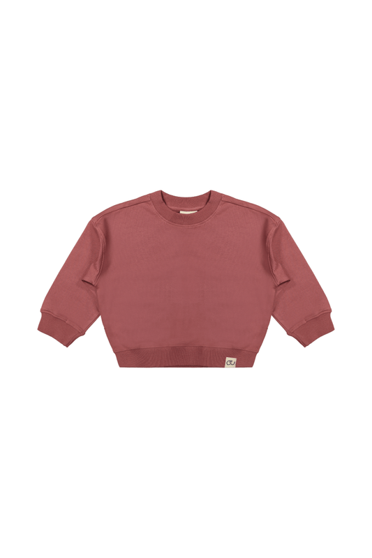 Elias | Oversized sweater | Apple Butter - Mr. Loutre - Truien & Vesten