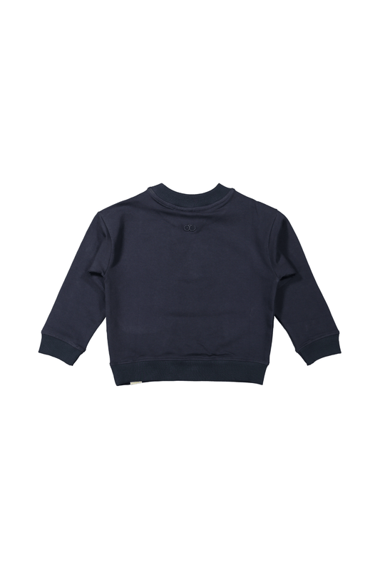 Elias | Oversized sweater | Blue Nights - Mr. Loutre - Truien & Vesten