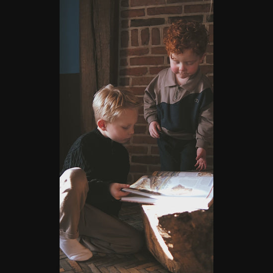 Jongens in jongens kleding Mr. Loutre en lezen samen dino boek, trui jongens